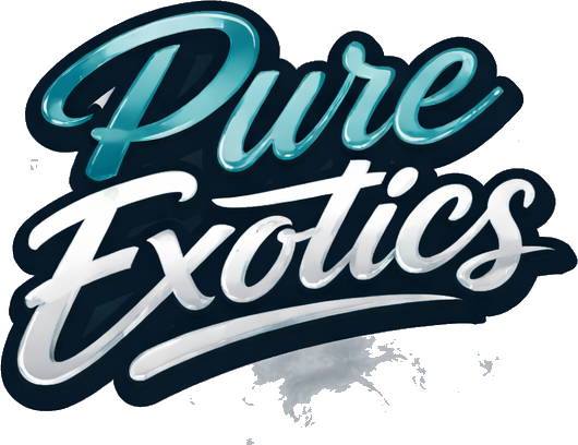 Pure Exotics